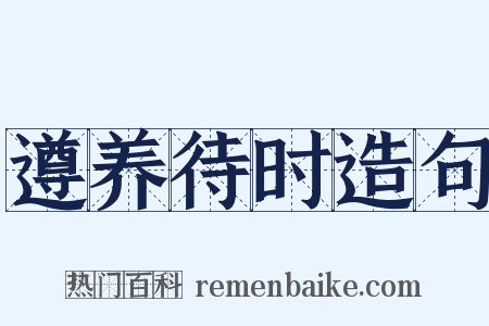 遵养待时造句是什么意思的图片